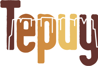 Tepuybremen